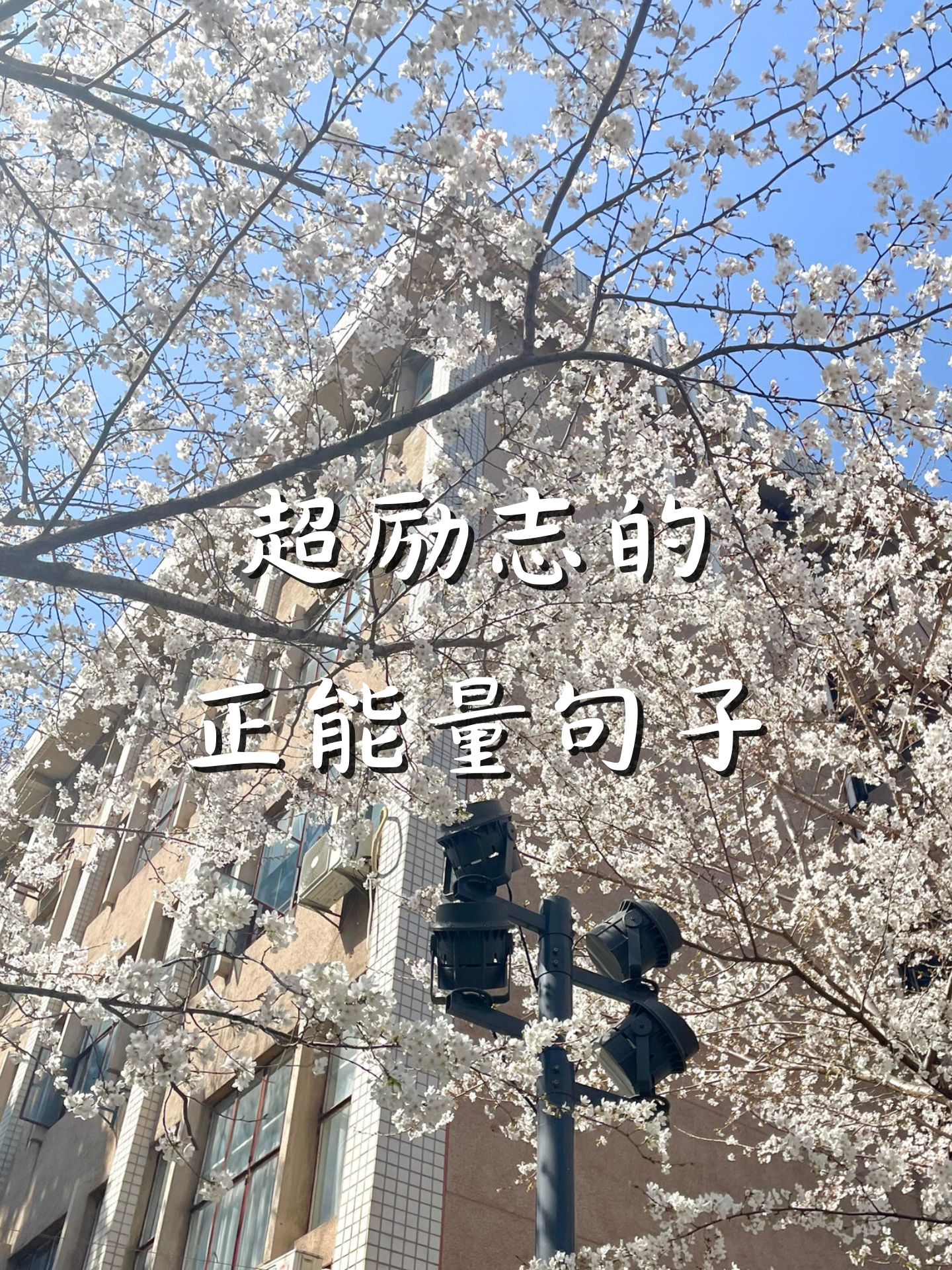 不畏强敌，勇往直前，豪取一场胜利