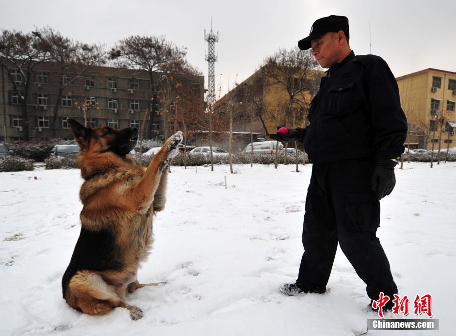 爱体育-谢菲联业务林的备战，蓄势待发迎来背靠